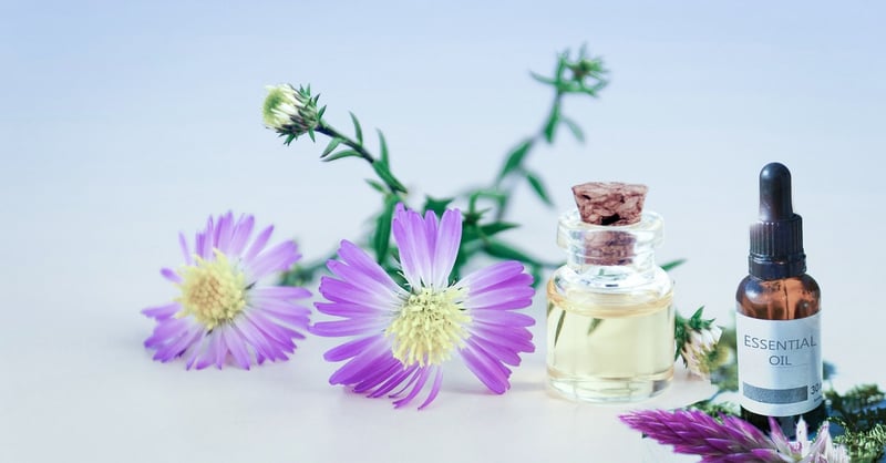 Chamomile