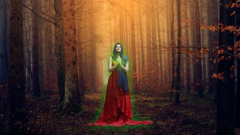 Mystical Forest